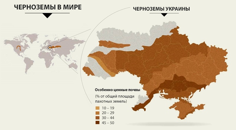 Инфографика чернозема Украины