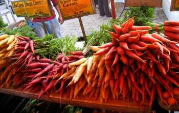 Изображение - Выращивание моркови как бизнес ideas55t3