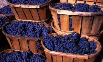 Виноград на рынке.